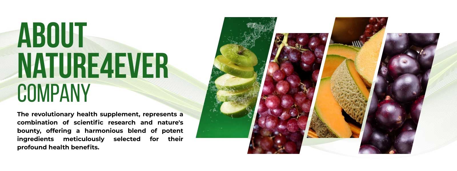 nature-4ever-india-company